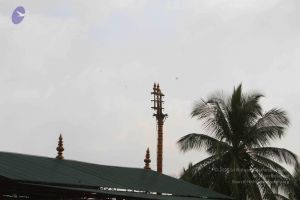 20141013 Photo 1059 1yAOdIsJWGJ96WiOGkerYjm6b64oCsxHk.JPG