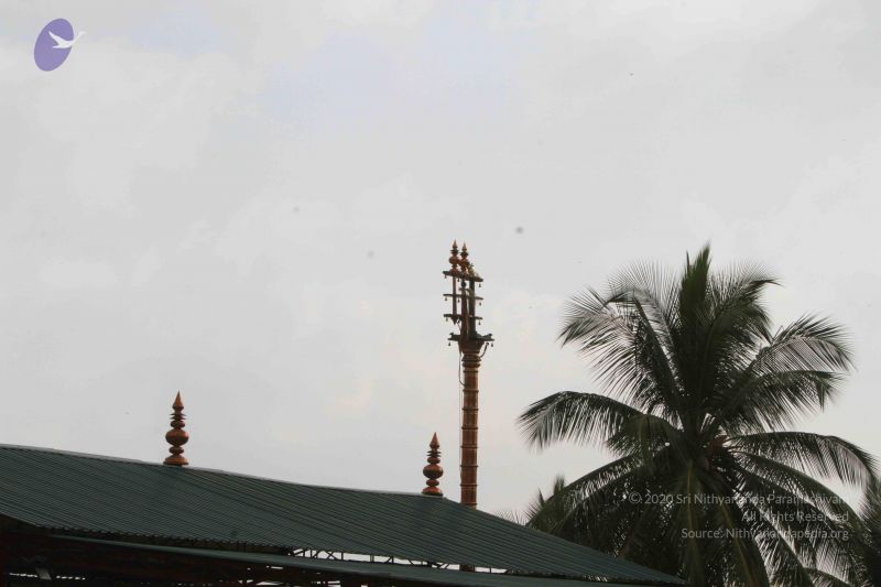 File:20141013 Photo 1059 1yAOdIsJWGJ96WiOGkerYjm6b64oCsxHk.JPG