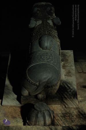 20141013 Photo 1177 1CA3uWkjebQeAORI2O6oqMtIWqPyLxrwT.JPG