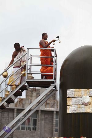 20141022 Photo 1220 1NehBFwHd59KVoxqFKja5HOP-CwEJkR2a.JPG