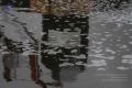 Thumbnail for version as of 19:07, 8 June 2021