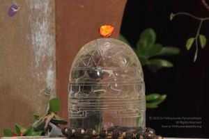 20141027 Photo 1050 1lS5s GbRyxUcsvZG6C3MSJhU-7OFdINk.JPG