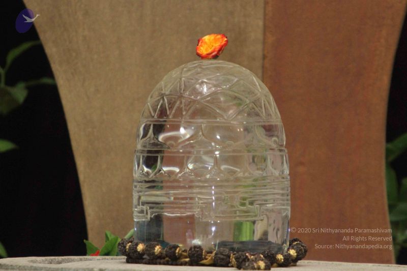 File:20141027 Photo 1051 1JugvLozzyTxXwAwF0wKsnW1lRb9YLrWP.JPG