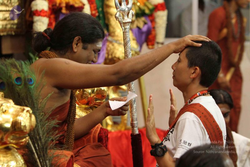 File:20141027 Photo 1137 1ypqHESa4NivqbTbn5ZsolaPlscl4AS3i.JPG