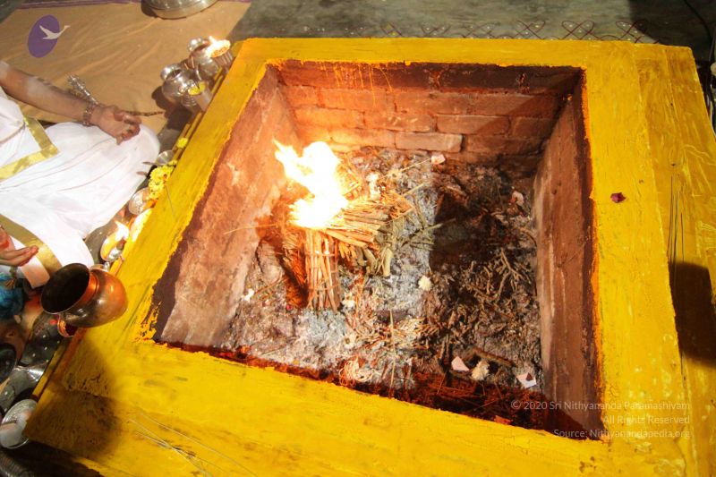 File:20141027 Photo 1182 1 3lDkcTDTEB7CPrYxnuB7JJ1XdiVN8IA.JPG