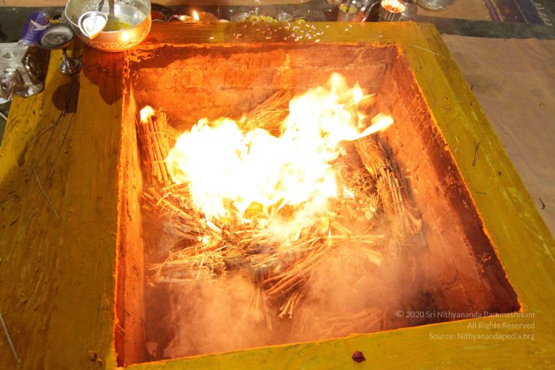 File:20141027 Photo 1200 1f17MlEfFQ3P8rqGZQm5e05e7rsMDHhYJ.JPG