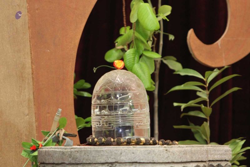 File:20141027 Photo 174 1WIK0DSa56Pc03 5ox3KBsvshKIPBn6Zp.jpg