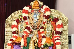 20141027 Photo 181 1q8lV8t-cYhFGa8NUw6dTydmBb7r99DRa.jpg