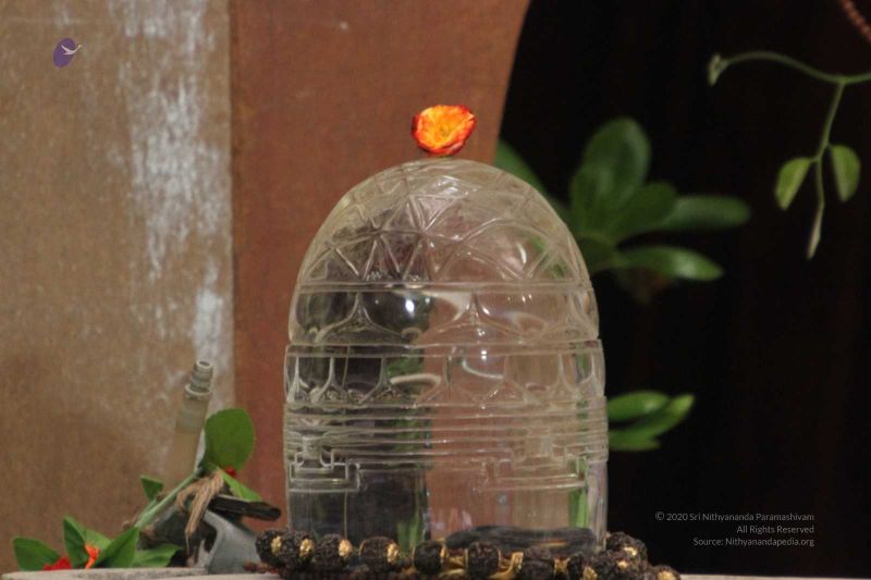 File:20141027 Photo 186 1t1ATqbVc0BooKiM0goDzIZBwCPUrfb7M.jpg