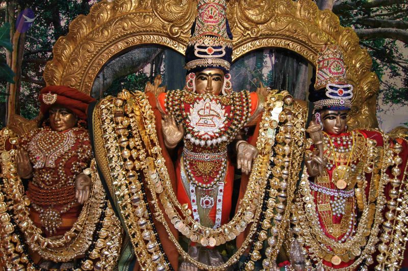 File:20141108 Photo 1054 1o2bKnpRJRUE837YR5scDFXxY-swcllmo.JPG