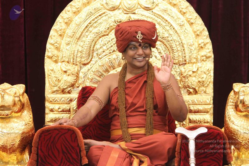 File:20141111 Photo 1061 1jAA-gxHSeISTBTnrhq0vJlNUf9Gc2Yio.JPG