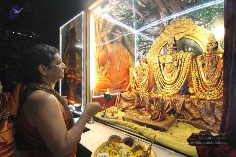 File:20141121 Photo 1140 1NA3k0KWfr1HSe0wcqmjqxTWKOhsc4-EI.JPG