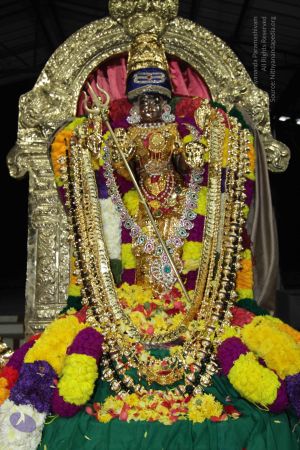 20141123 Photo 1046 1NRfDM6qxZ0ZlC3p5AqUfxpguH-eUVSAW.JPG