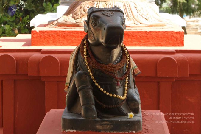 20141123 Photo 1108 187xCItNRLcALw27YA6d5Tt7aus-ikddC.JPG