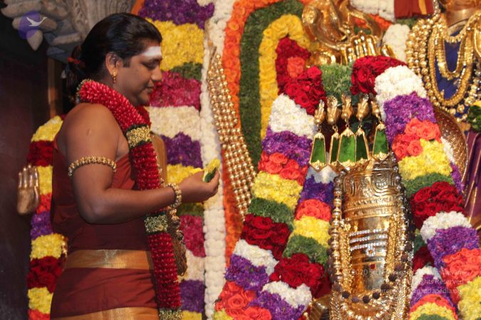 20141126 Photo 1034 1dHdO7MFnb XBDnQAFZqWEACggpP23qoK.JPG