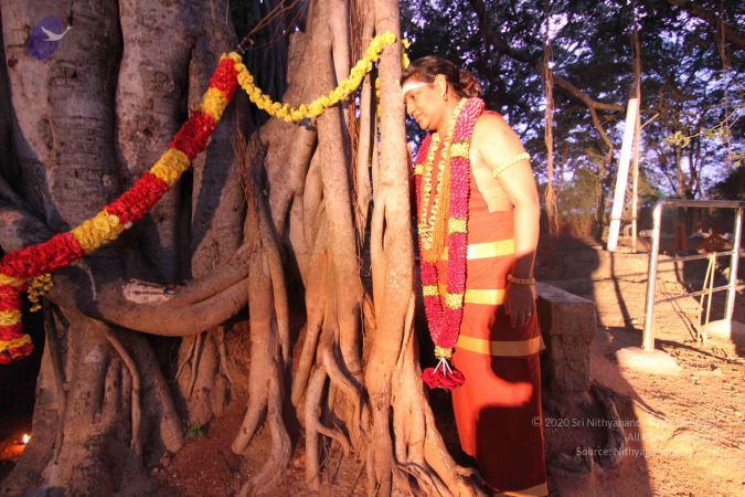 20141126 Photo 1123 1rsCZdqaQDx2AmMLWpUzAncLa3TyIcZIT.JPG