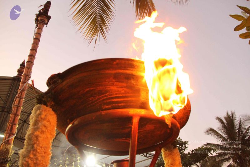 File:20141205 Photo 1077 1xmlQCGOGfqIiOK-APYPj6NWIM9V88t0J.JPG