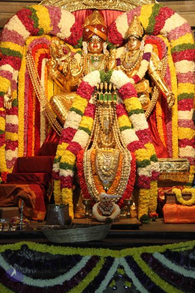 File:20141205 Photo 1122 1KeVB9isbCamFkFlBCKvlua72sgLPJyEK.JPG