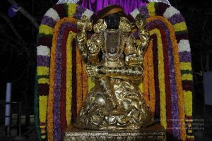 20141205 Photo 1132 151ODbtee9FUhfp0o38iZJCLMDLqGqOII.JPG