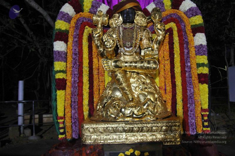 File:20141205 Photo 1141 1MLbf9ln-K19HCqkxIF559DX050ulZZsL.JPG