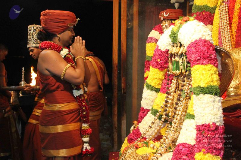 File:20141205 Photo 1190 1K2JYxKdRueXsUz7Qc86y1Mkz2YSr36y5.JPG