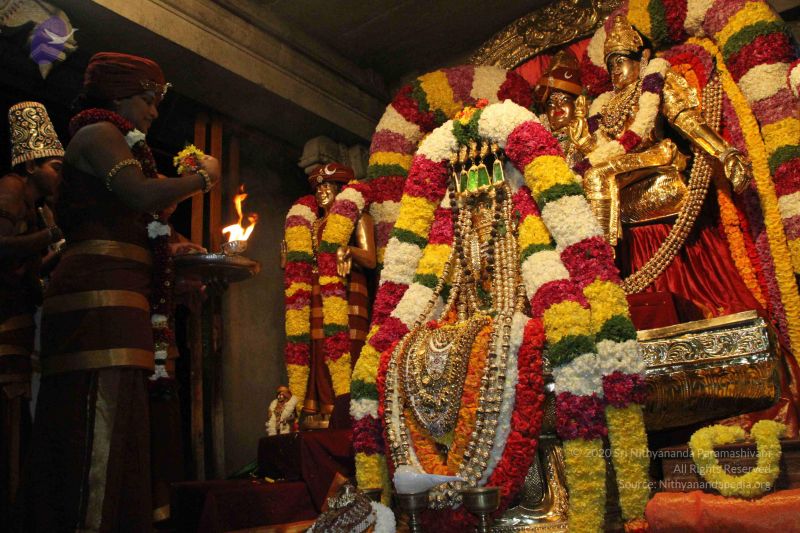 File:20141205 Photo 1231 1DrpbsIYfAIvHBv6Mze-hITPiuZMRnZY8.JPG