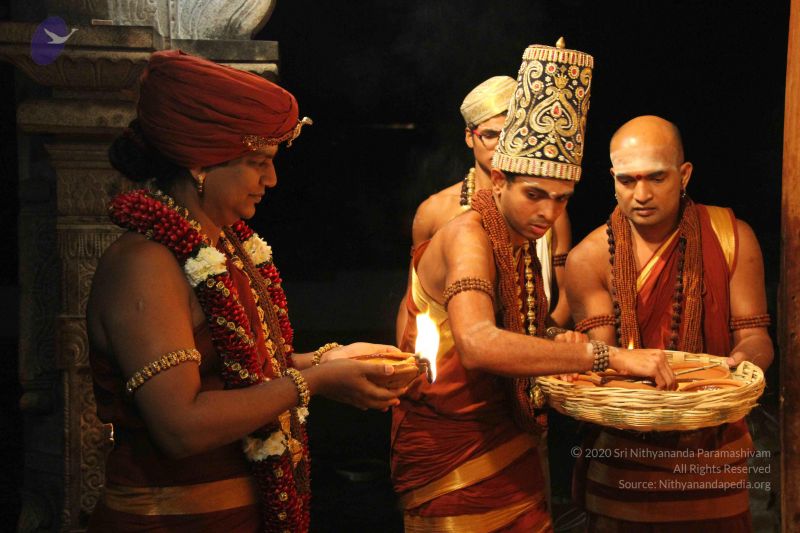 File:20141205 Photo 1271 1hJY d9B7neBtyKjXbXLtuh0vN OEKOTt.JPG