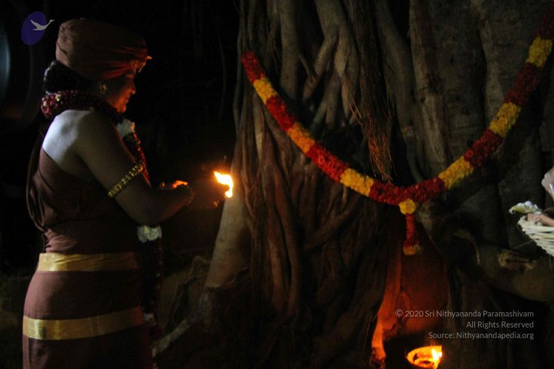 File:20141205 Photo 1319 1wOFY GzcdNbPKxYtsRxve2SrL5IIkge-.JPG