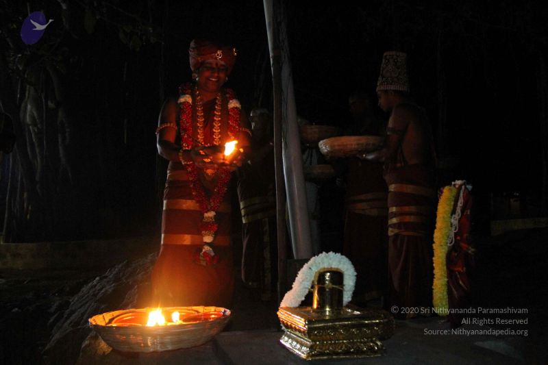 File:20141205 Photo 1345 14WydsqT4eOBE1r9M7AQQCufV-aXXPAo .JPG