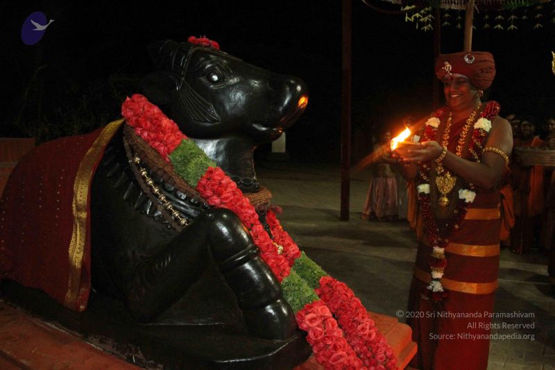 File:20141205 Photo 1380 1x3nISv1xqyeSkLipfERN8ckrNK4ShNu5.JPG