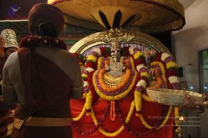 20141205 Photo 1452 1 p4fkCLCkP7O3CkMydBN9ioQ7nVcmCip.JPG