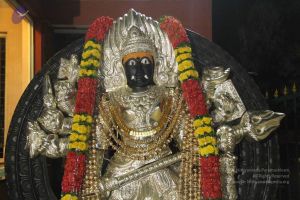 20141205 Photo 1505 1dlQyGZZInW8B7ZVjhAZvLmJwBIB1CLMF.JPG