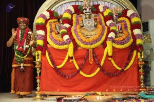 20141205 Photo 1728 1glcP2RnvrVFXB8HlOPdKPs-LycWwOgbG.JPG