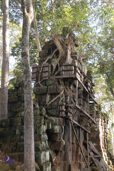 File:20141215 Photo 1174 1ApPsM5j-kiB1iZUAMztlT oo0p6zSdz7.JPG