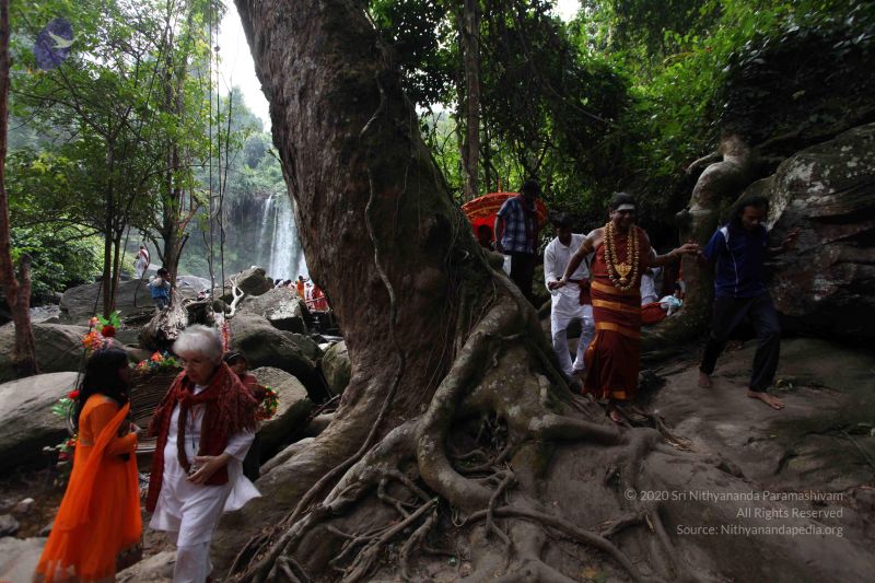 File:20141217 Photo 1190 1qtSiWS5gitKOvPcRj4Bu85IMU11UaS7i.JPG