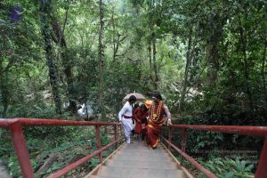 20141217 Photo 1203 1vMKXIUs9Ed1LqRx-wELEOJGDfeyecWi3.JPG