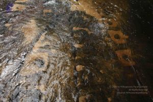 20141217 Photo 1330 1H8UGxNdjHoRri99FHHWZ0 X0Hw06XnvV.JPG