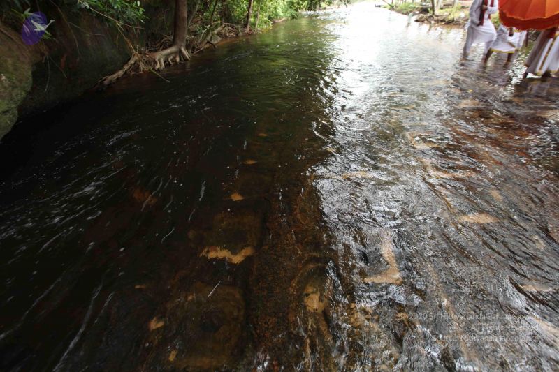 File:20141217 Photo 1331 1TIyqLi91bDGrfWMDFvG vqbMCJVhLz91.JPG