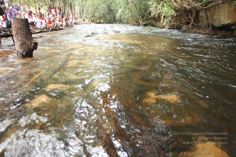 File:20141217 Photo 1396 1Rt09jqAl1VZRKQL1F8IlPcdYmgkUxLTH.JPG