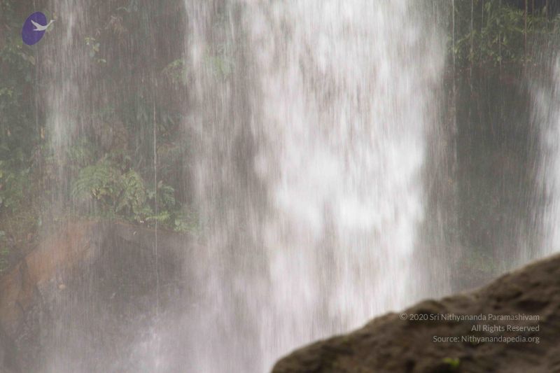 File:20141217 Photo 1721 14BWDl7i7Vo WTOBd0i9JOmhS6pnVspHi.JPG