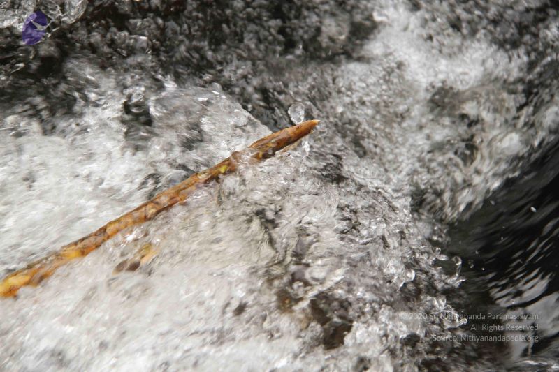 File:20141217 Photo 1735 1IXpqbixArnsWWwl1Y16ZjArQscvsoRDg.JPG