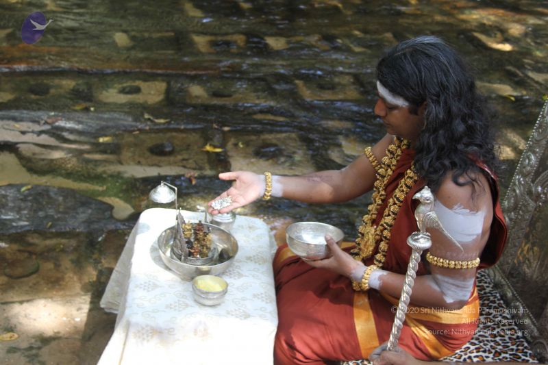 File:20141217 Photo 1823 1PJBOuqyr1V1zo6I9Dli4mLOmY7WSfDpZ.JPG