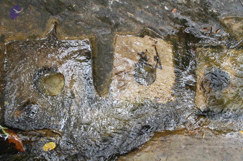 File:20141217 Photo 1922 1dDIB8kX7KQw2jPwBDXMoqWMBl9PU-tT5.JPG