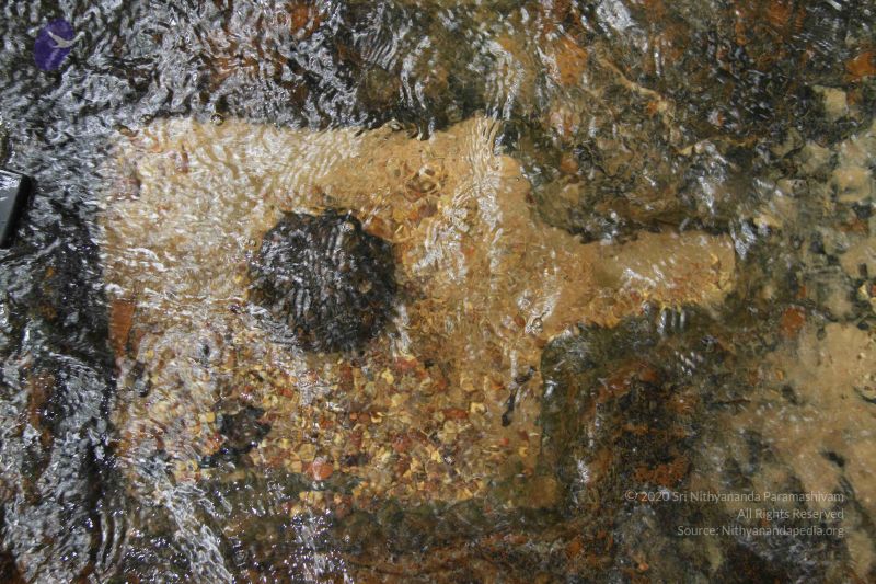 File:20141217 Photo 1924 1GO QKNNFHl3bUWIvXrnARpqQ fP6k823.JPG