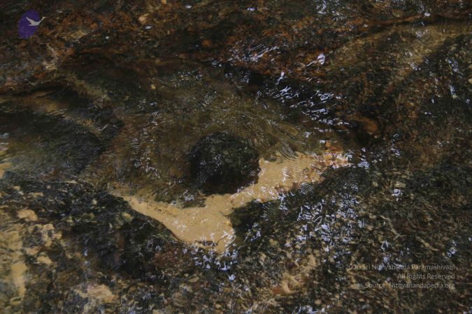 20141217 Photo 1927 16gaaVHJnQl9QEz9e40ymbSBx5jaa2UG6.JPG