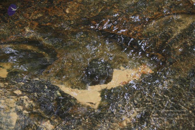 20141217 Photo 1928 16FTX-B-AwhdWd-dVMaBkimV-uQBsKMUa.JPG