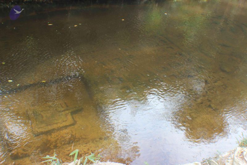 File:20141217 Photo 2001 1jk32YLQuXG4ROwxUQ2Ywh2WuQpcYeUZD.JPG