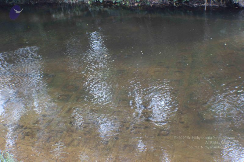 File:20141217 Photo 2003 1Uu6~t9SRgCHIHuDXIttDHryIB3p7RB4.JPG