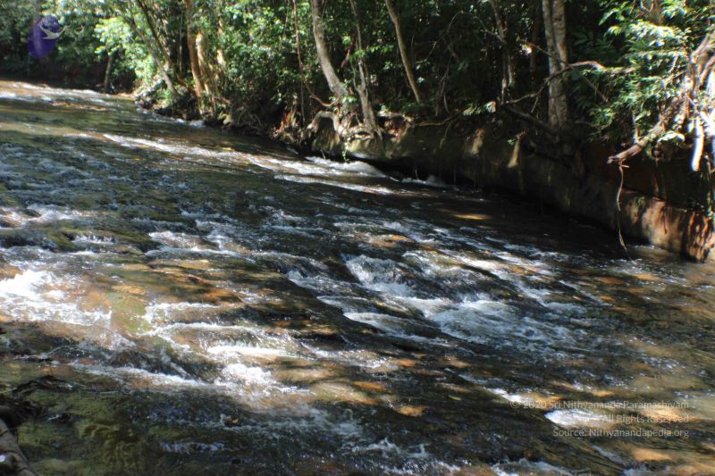 File:20141217 Photo 2026 1lVTtKZDxcCCW54fcZSlaxkMxdw6dUNz1.JPG