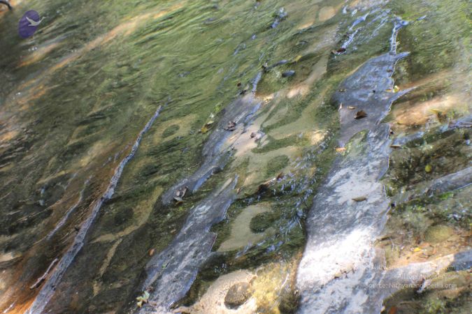 20141217 Photo 2028 10RvwXQYcbI3PqP8d4ZjmliZQObhCRyqe.JPG